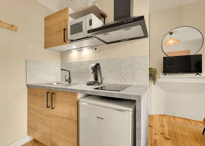 Tierra Andina - En Centre-ville Διαμέρισμα Τουλούζη